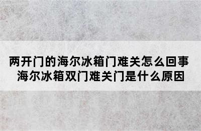 两开门的海尔冰箱门难关怎么回事 海尔冰箱双门难关门是什么原因